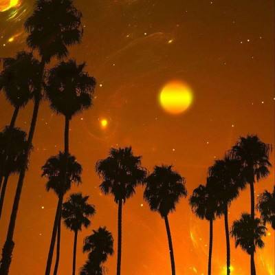 乐鱼手机app下载